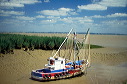 33, M�doc, estuaire de la Gironde, b�teaux de p�che