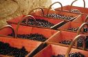 vignoble__viticulture__vi_1